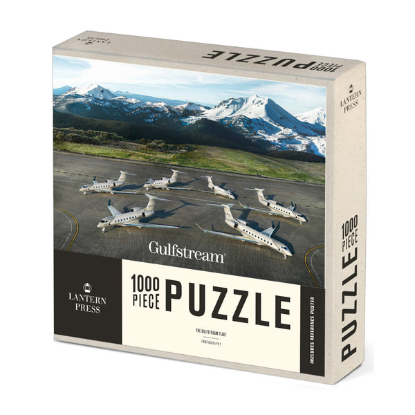 Aircraft Fleet Puzzle