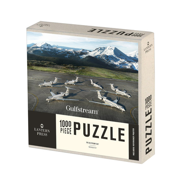 Aircraft Fleet Puzzle